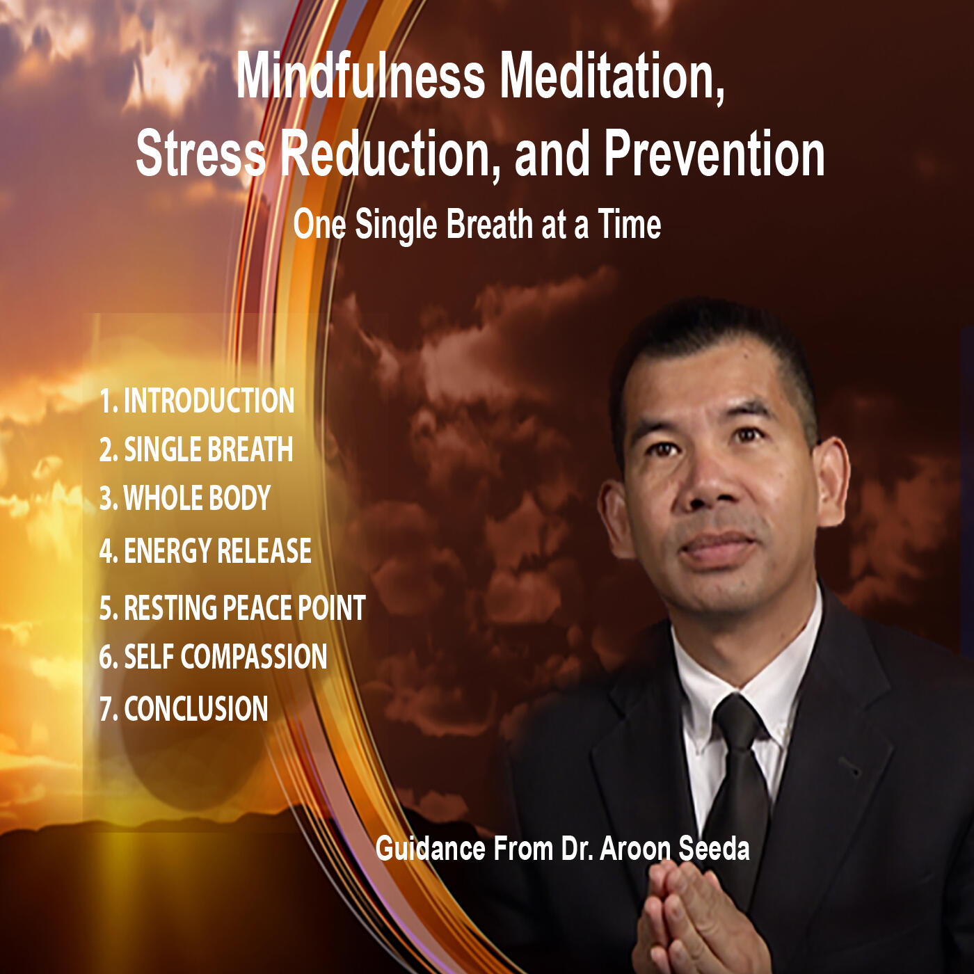 Mindfulness Meditation, Stress Reduction, and Prevention: One Single Breath at a Time. Project cover featuring Dr. Aroon Seeda and seven guided practice sections.